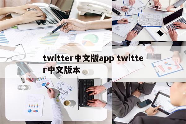 twitter中文版app twitter中文版本