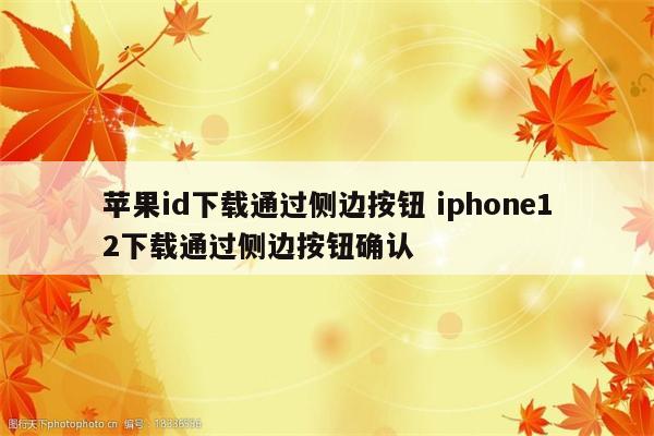 苹果id下载通过侧边按钮 iphone12下载通过侧边按钮确认