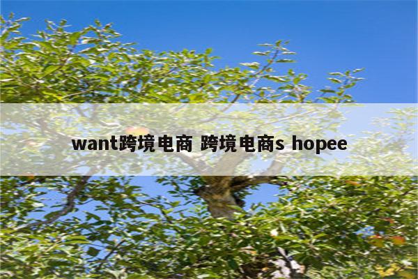 want跨境电商 跨境电商s hopee