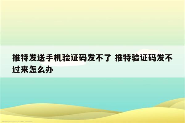 推特发送手机验证码发不了 推特验证码发不过来怎么办