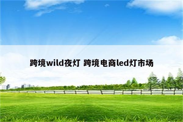 跨境wild夜灯 跨境电商led灯市场