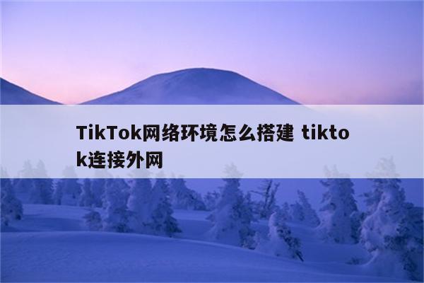 TikTok网络环境怎么搭建 tiktok连接外网