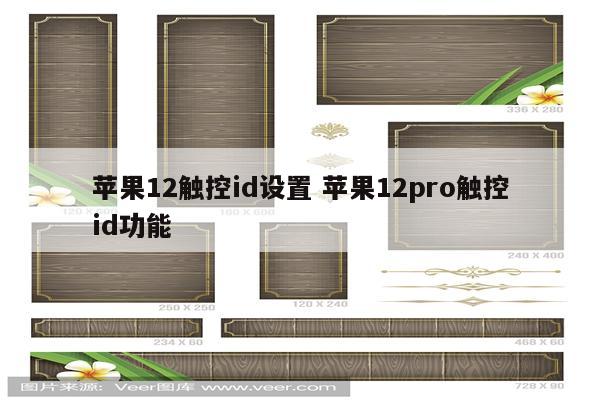 苹果12触控id设置 苹果12pro触控id功能