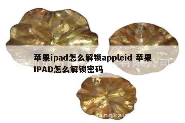 苹果ipad怎么解锁appleid 苹果IPAD怎么解锁密码