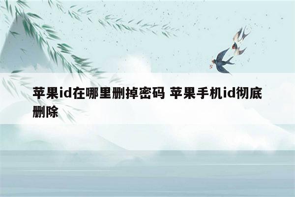 苹果id在哪里删掉密码 苹果手机id彻底删除