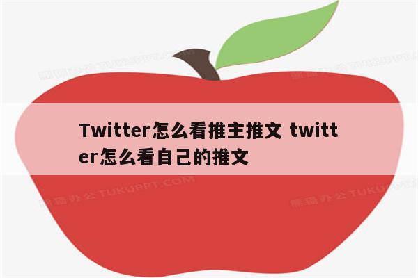 Twitter怎么看推主推文 twitter怎么看自己的推文