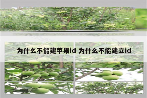 为什么不能建苹果id 为什么不能建立id
