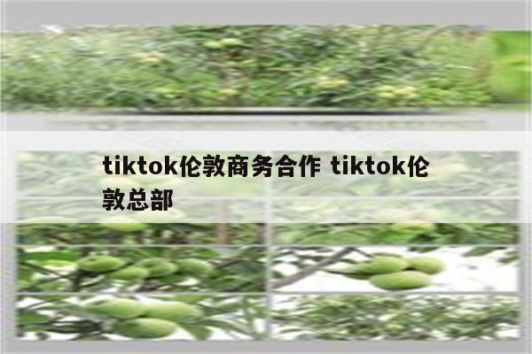 tiktok伦敦商务合作 tiktok伦敦总部