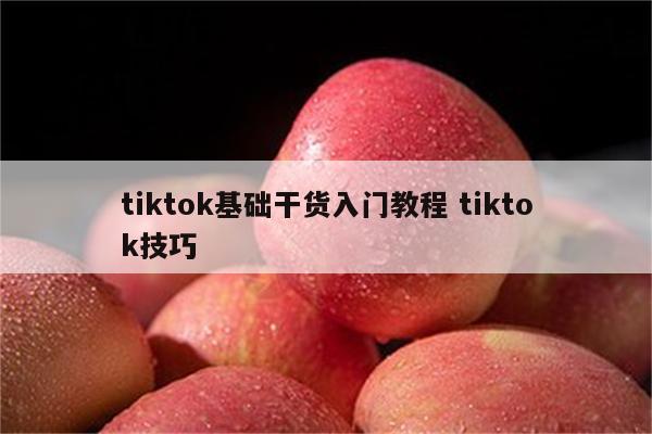 tiktok基础干货入门教程 tiktok技巧