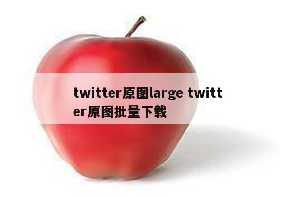 twitter原图large twitter原图批量下载