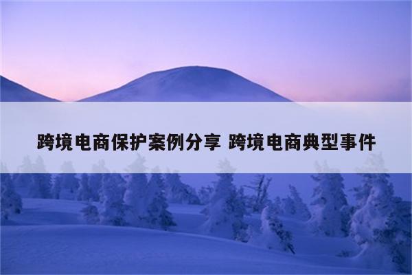 跨境电商保护案例分享 跨境电商典型事件