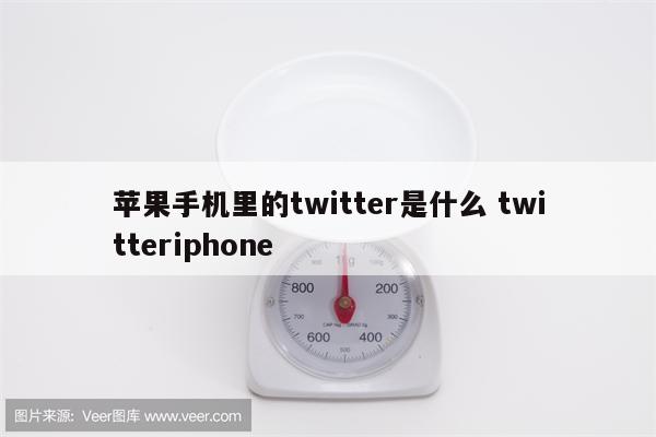 苹果手机里的twitter是什么 twitteriphone