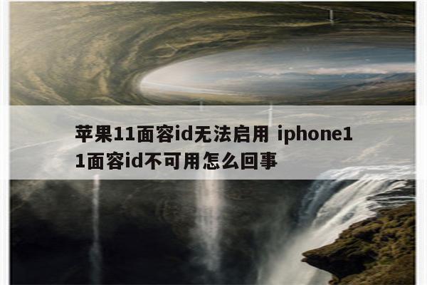 苹果11面容id无法启用 iphone11面容id不可用怎么回事