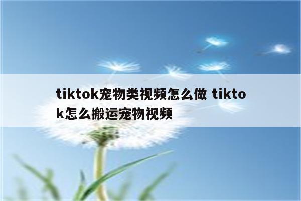 tiktok宠物类视频怎么做 tiktok怎么搬运宠物视频
