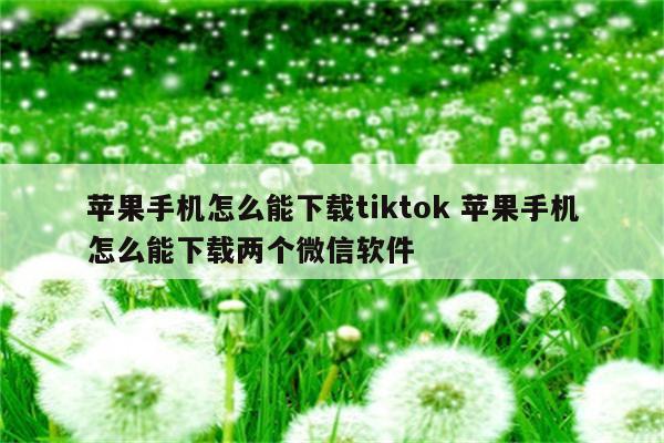 苹果手机怎么能下载tiktok 苹果手机怎么能下载两个微信软件