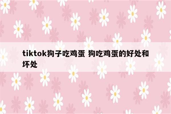 tiktok狗子吃鸡蛋 狗吃鸡蛋的好处和坏处