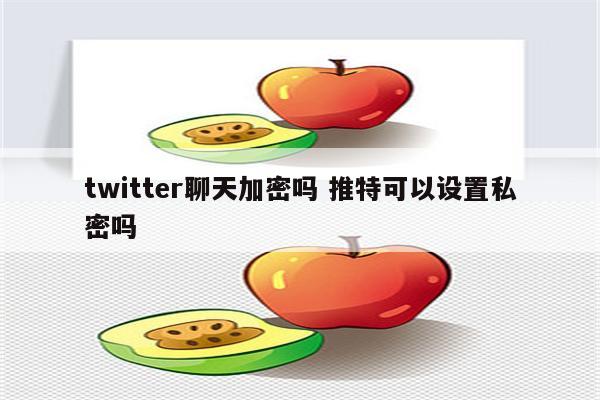 twitter聊天加密吗 推特可以设置私密吗