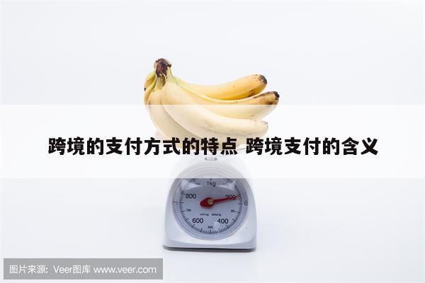 跨境的支付方式的特点 跨境支付的含义