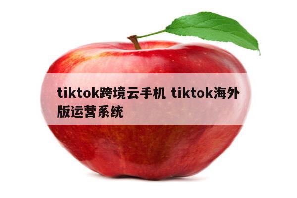 tiktok跨境云手机 tiktok海外版运营系统