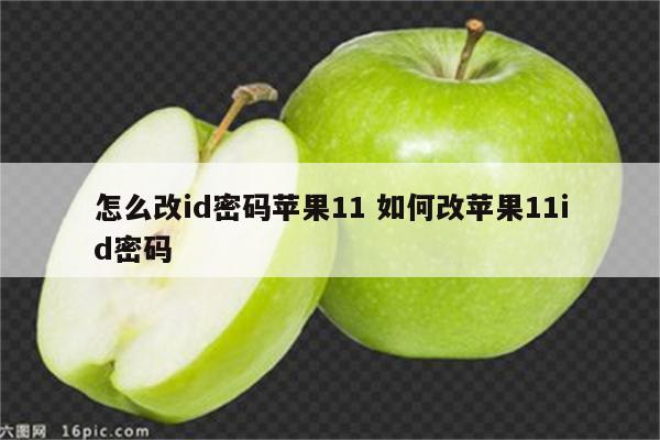 怎么改id密码苹果11 如何改苹果11id密码