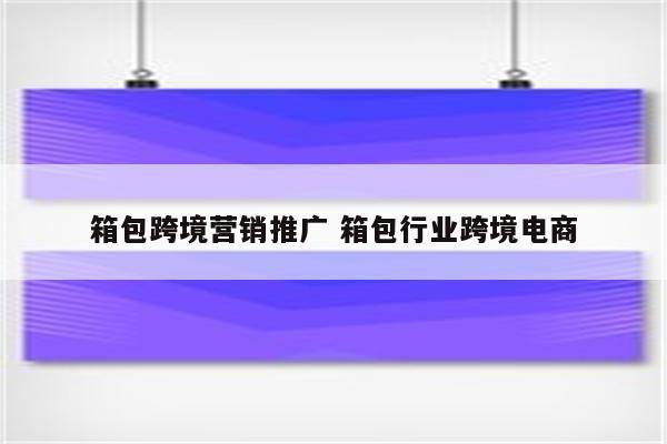 箱包跨境营销推广 箱包行业跨境电商