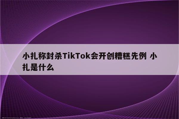 小扎称封杀TikTok会开创糟糕先例 小扎是什么