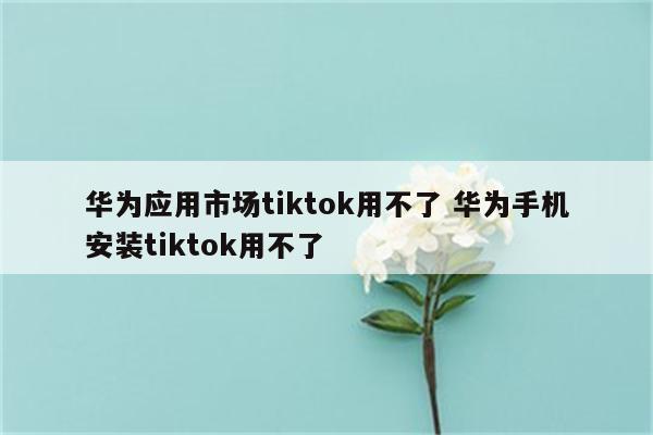 华为应用市场tiktok用不了 华为手机安装tiktok用不了