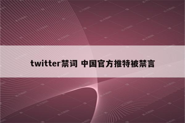 twitter禁词 中国官方推特被禁言