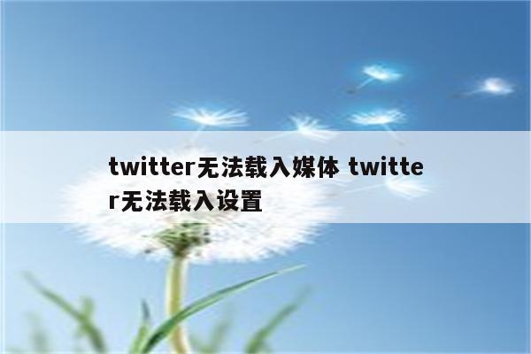 twitter无法载入媒体 twitter无法载入设置
