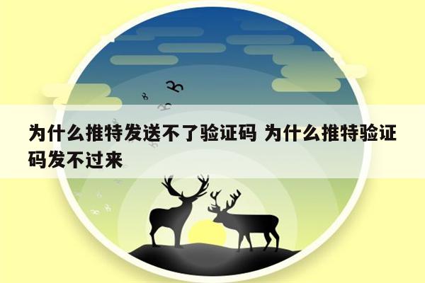 为什么推特发送不了验证码 为什么推特验证码发不过来