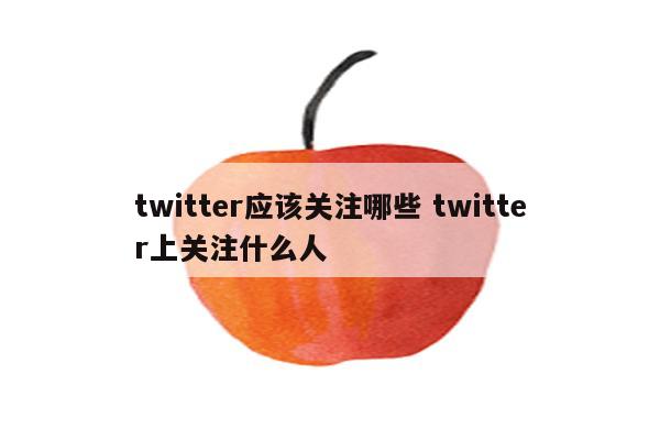 twitter应该关注哪些 twitter上关注什么人