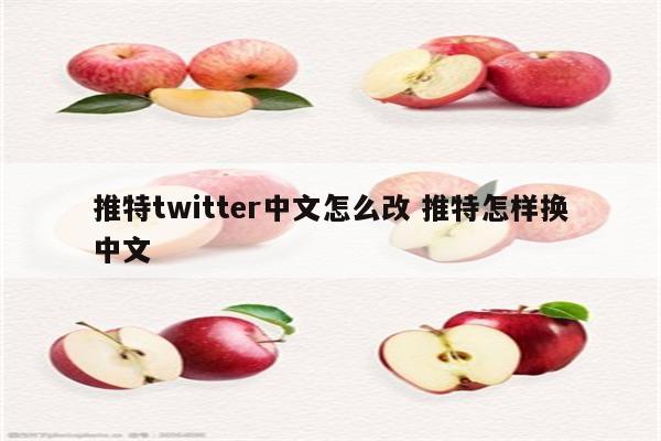 推特twitter中文怎么改 推特怎样换中文