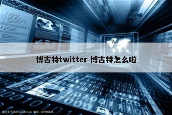 博古特twitter 博古特怎么啦