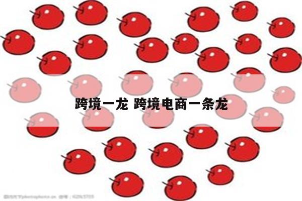 跨境一龙 跨境电商一条龙