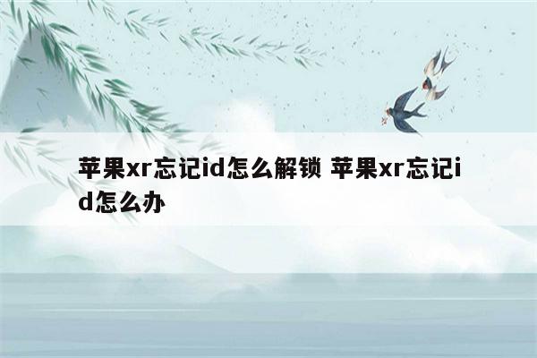 苹果xr忘记id怎么解锁 苹果xr忘记id怎么办