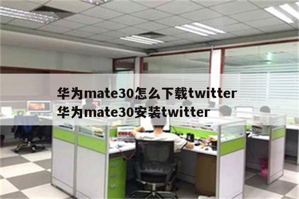 华为mate30怎么下载twitter 华为mate30安装twitter