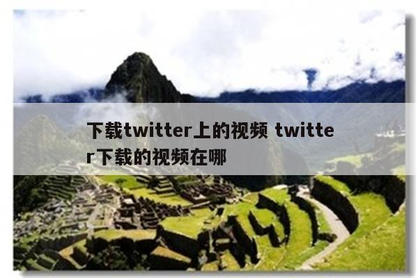 下载twitter上的视频 twitter下载的视频在哪