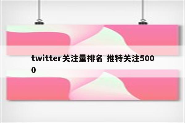 twitter关注量排名 推特关注5000