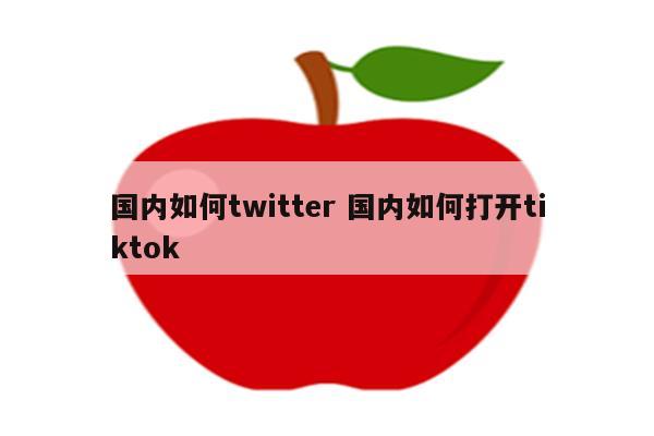 国内如何twitter 国内如何打开tiktok