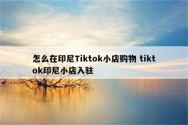 怎么在印尼Tiktok小店购物 tiktok印尼小店入驻