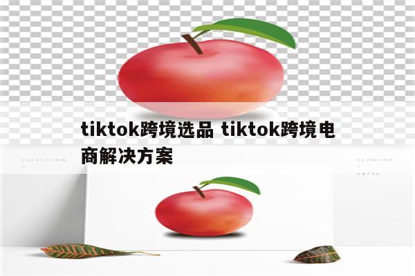 tiktok跨境选品 tiktok跨境电商解决方案