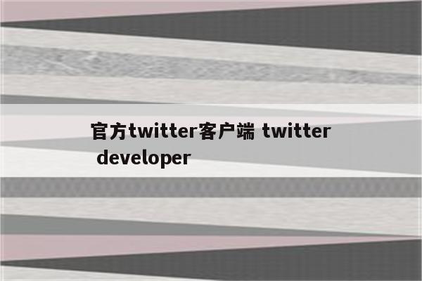 官方twitter客户端 twitter developer