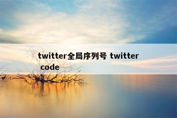 twitter全局序列号 twitter code