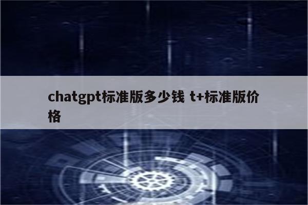 chatgpt标准版多少钱 t+标准版价格