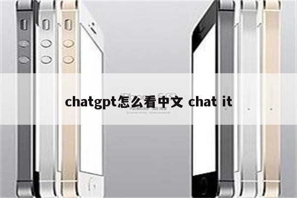 chatgpt怎么看中文 chat it