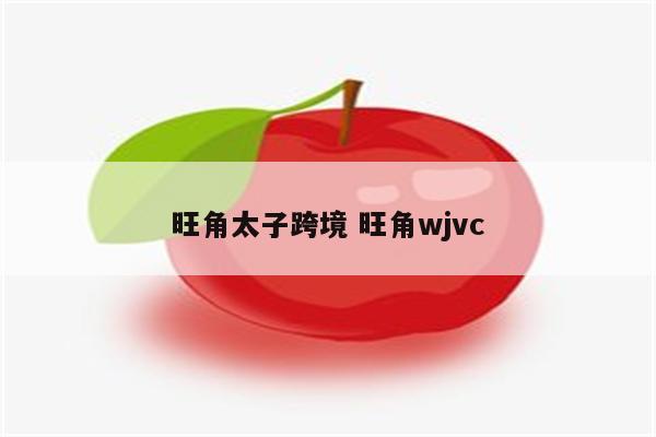 旺角太子跨境 旺角wjvc