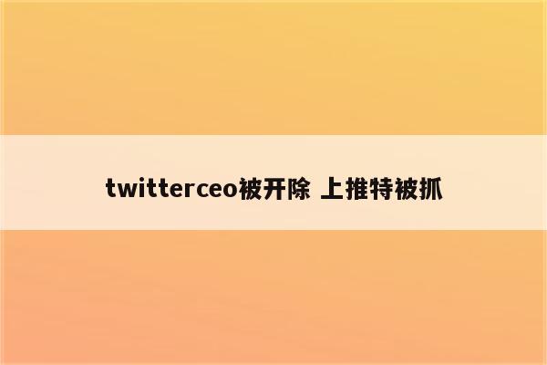 twitterceo被开除 上推特被抓