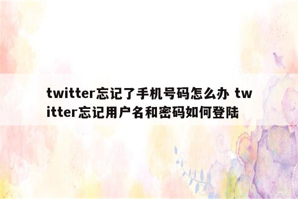 twitter忘记了手机号码怎么办 twitter忘记用户名和密码如何登陆