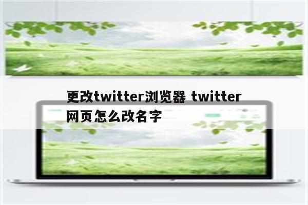 更改twitter浏览器 twitter网页怎么改名字