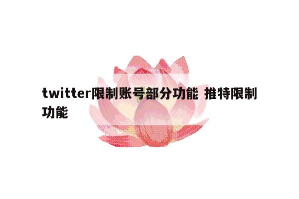 twitter限制账号部分功能 推特限制功能